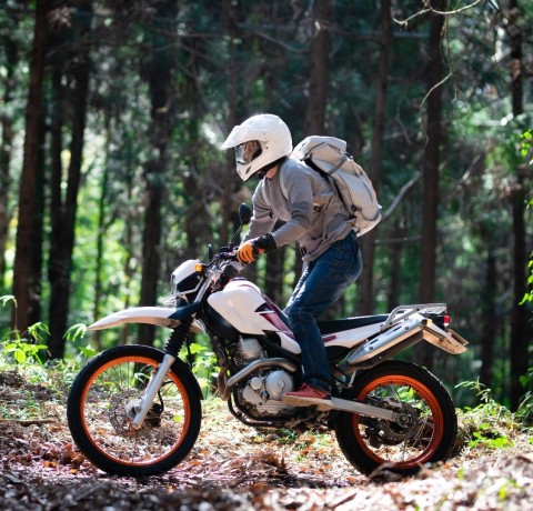 Protection for Wherever the Adventure Takes You